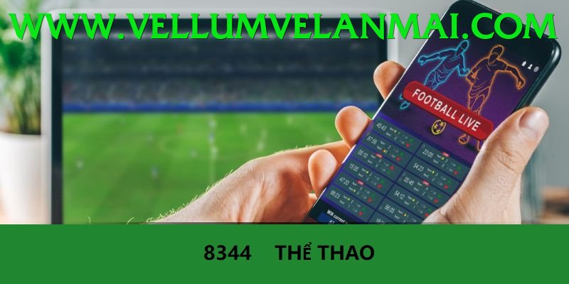 Cá Cược Thể Thao - vsbet